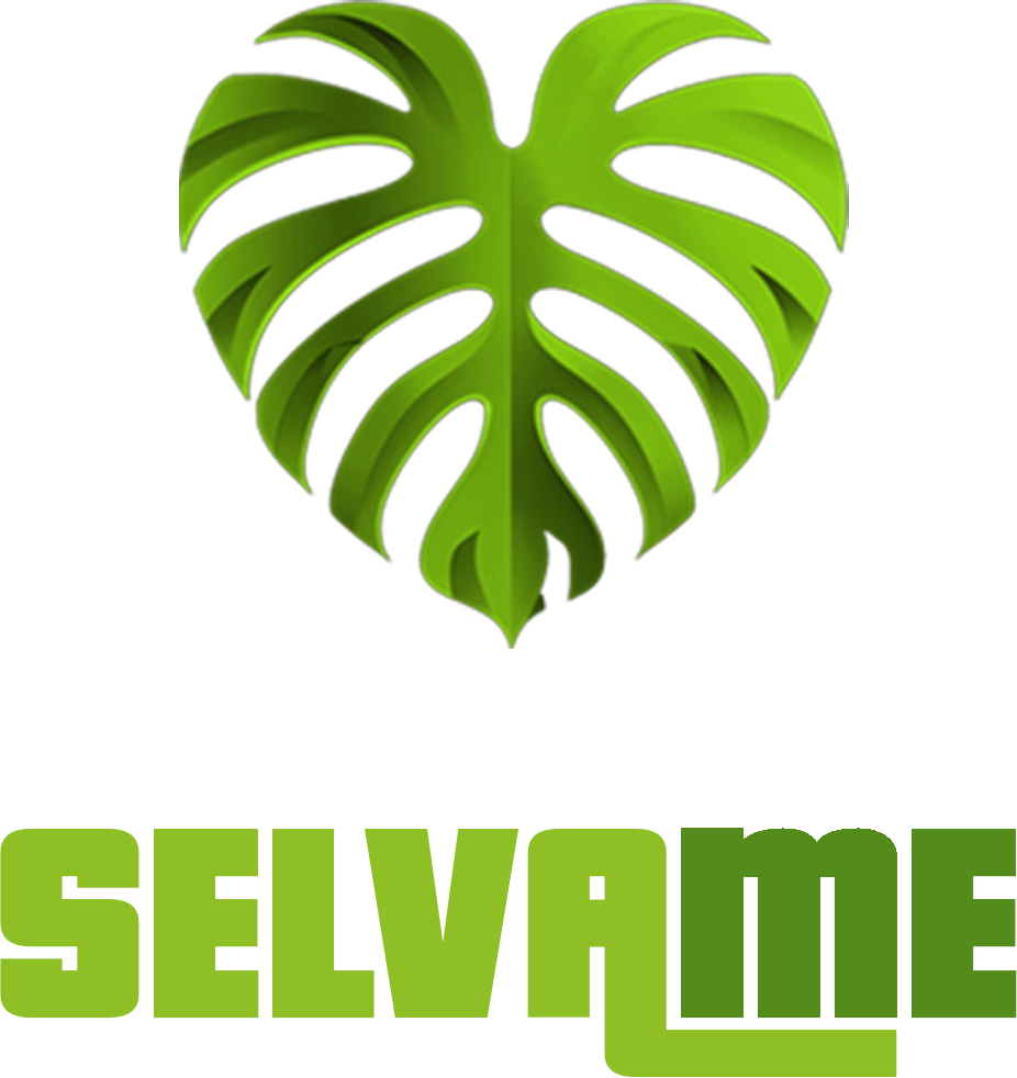 logo-header